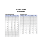 WAVE RIDER 10 SPORT Mizuno